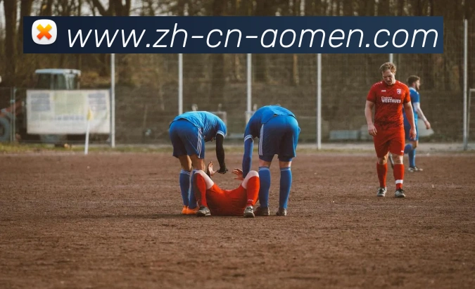 App Interface Preview